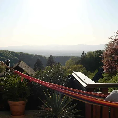 Wipfelzeit Badenweiler